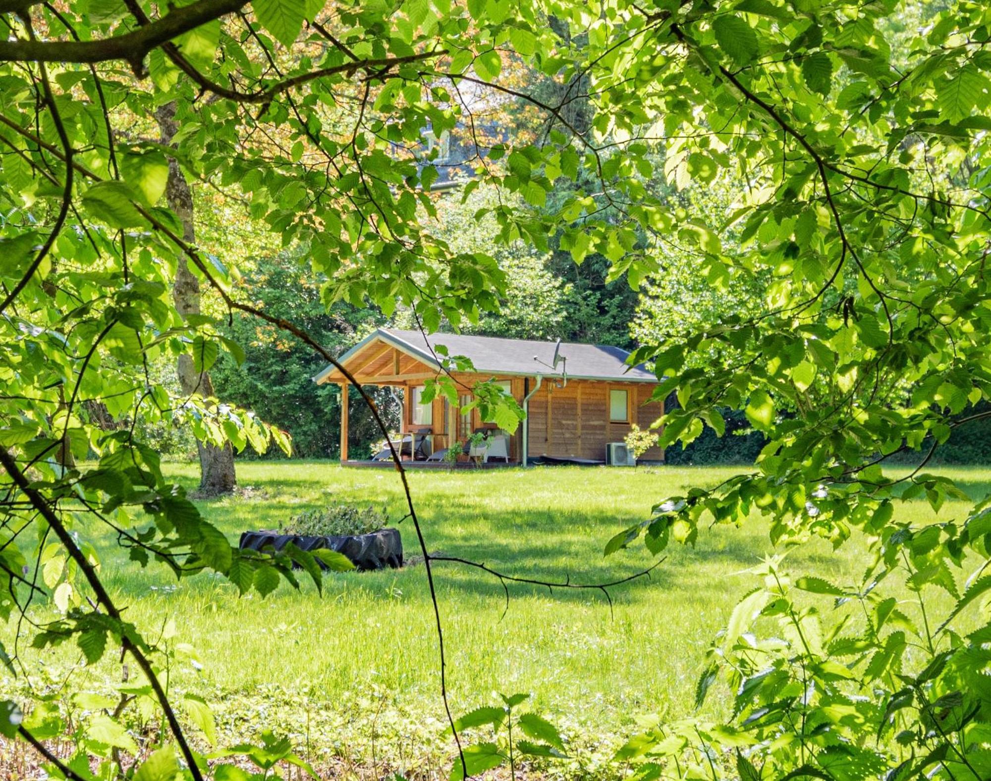 Landhotel Ringelsteiner Muehle Moselkern Exteriér fotografie